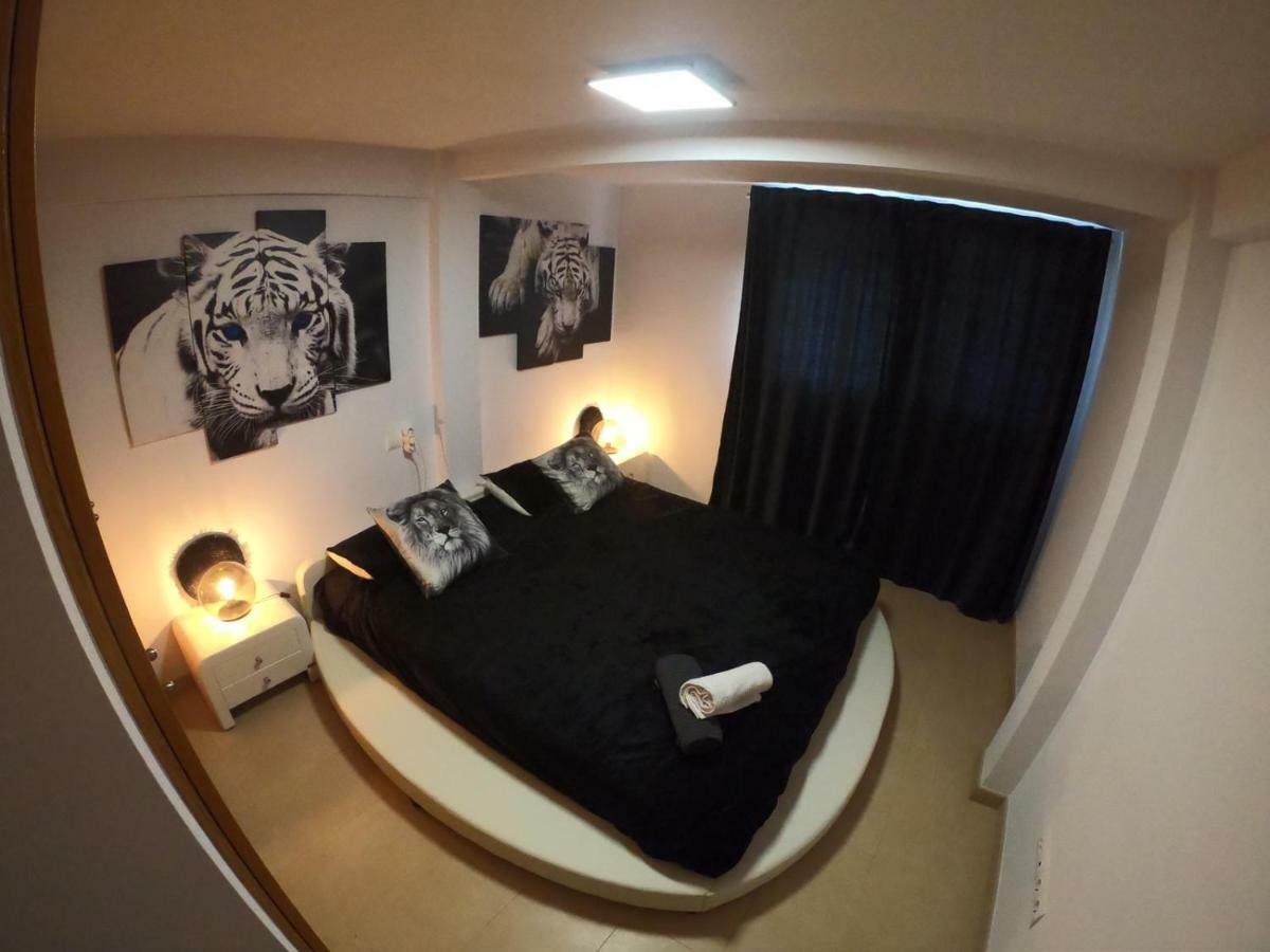 Apartamento A Primera Linea De Mar En 플라티야 다로 외부 사진